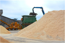 Apie granules